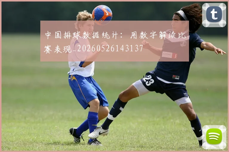 中国排球数据统计:用数字解读比赛表现_20260526143137